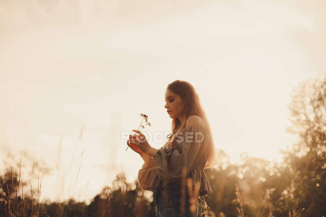 Junge Frau hält Blume, während sie im Sommer auf einem Feld steht — Stockfoto