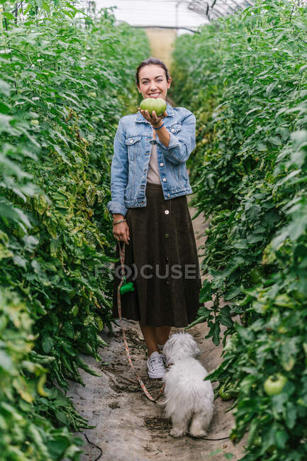 Full body of an attractive young woman with her dog in a tomato plant — Stock Photo