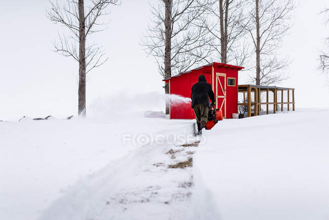 Man snow blowing a path in the snow to a chicken coop during winter — Stock Photo