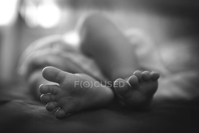 A black and white photo of a newborn feet in the bedroom — Stock Photo