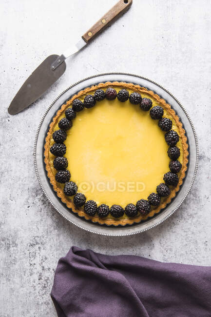 Homemade cheesecake with blueberries and mint on a white background — Stock Photo