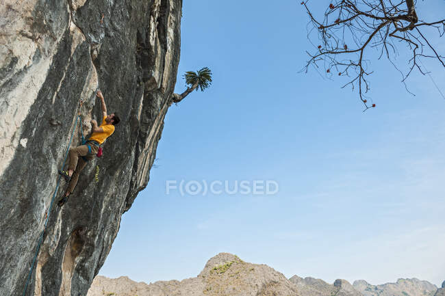 Hombre subiendo al acantilado de piedra caliza en Laos - foto de stock