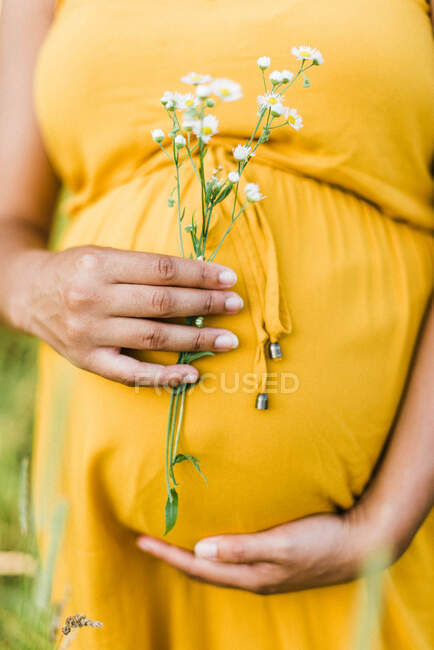 Крупным планом ожидая черную мать, держащую ее беременный живот с любовью — стоковое фото