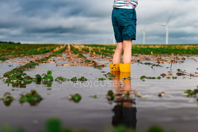Uma criança de pé em águas inundadas num campo de soja perto de um parque eólico — Fotografia de Stock