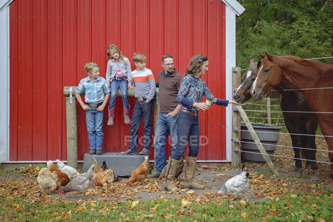 Família por um celeiro vermelho com cavalos e galinhas. — Fotografia de Stock