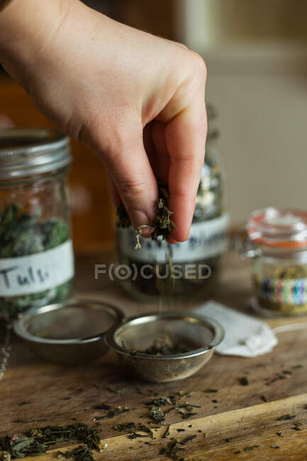 Плоская укладка сыпучих листьев травяные ингредиенты чая на деревянном фоне — стоковое фото