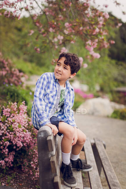 Petit garçon dans un parc florissant de fleurs de cerisier — Photo de stock
