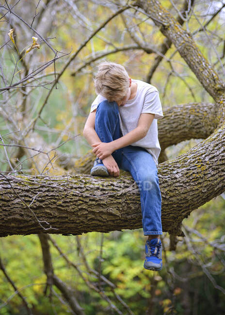 Sad yound blond boy sitting on a tree branch in the woods. — Stock Photo