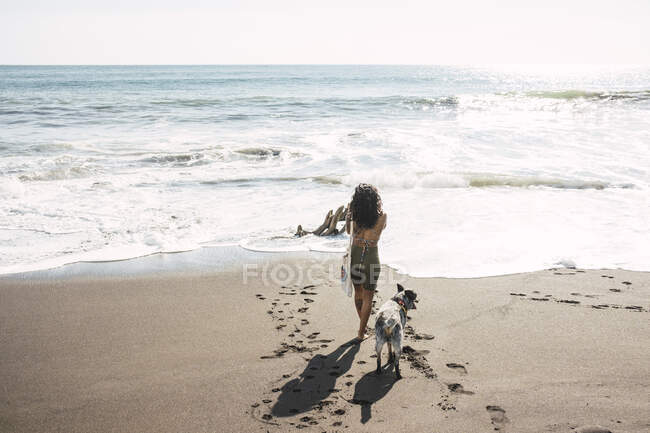 Femme prenant des photos sur la plage, avec son chien. Concept de photographe. — Photo de stock
