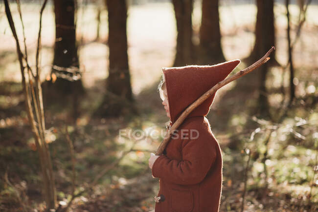 Bambino che cammina con un bastone nella foresta in una giornata di autunno soleggiata — Foto stock