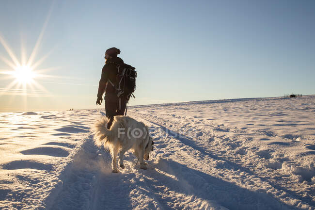 Homem com cão trekking no inverno neve — Fotografia de Stock