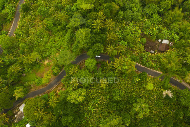 Top down overhead aerial view of a car driving on the asphalt road through lush green jungle Car on the road passing rural house in the rainforest in Bali, Indonesia HQ — Stock Photo