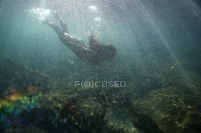 Girl  diving underwater  in the sea — Stock Photo