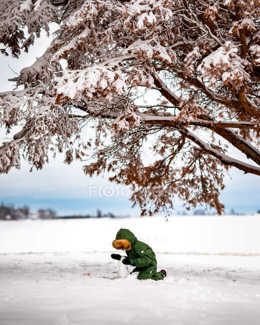 Мальчик делает маленького снеговика под заснеженными ветвями на ферме — стоковое фото