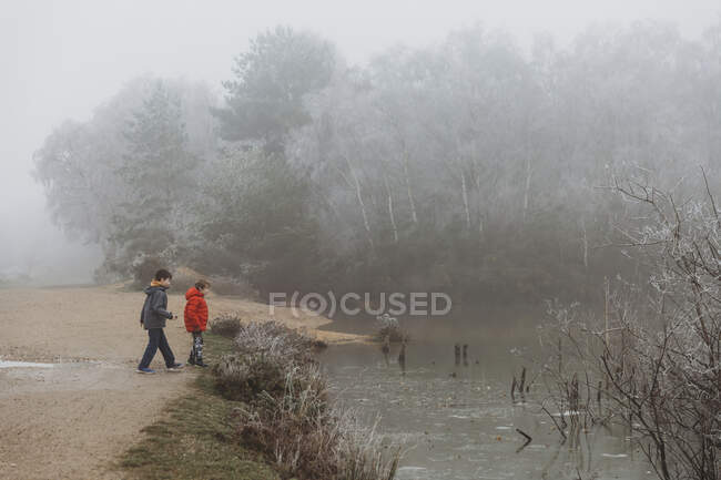 Dois irmãos de pé ao lado de lago congelado no inverno contra o céu nebuloso — Fotografia de Stock