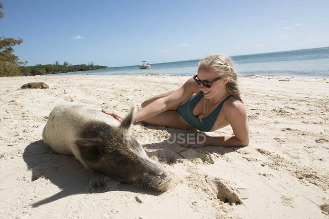 Giovane bionda femmina che accarezza maiale sulla spiaggia delle Bahamas — Foto stock