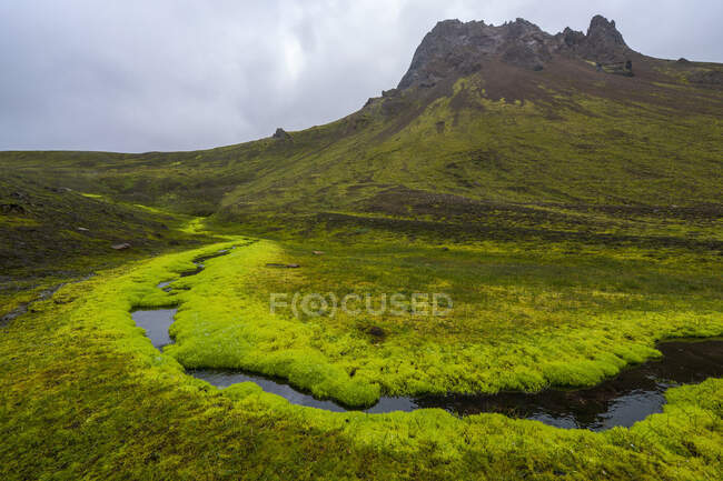 Manantial de agua dulce forrado de musgo fresco en Islandia - foto de stock