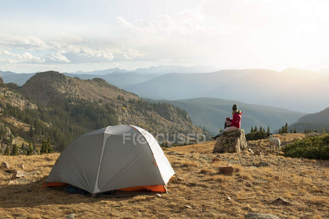 Femme assise sur le rocher tout en campant avec chien sur la montagne contre le ciel pendant les vacances — Photo de stock
