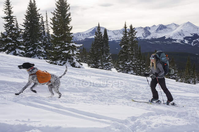 Mulher splitboarding enquanto cão correndo na montanha durante o inverno — Fotografia de Stock