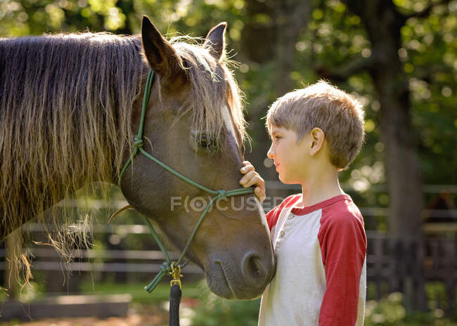 Красивий хлопчик дивиться на свого коня з рукою на голову . — стокове фото
