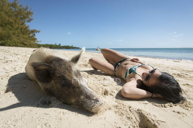 Joven mujer asiática durmiendo al lado de cerdo en la playa en Bahamas - foto de stock