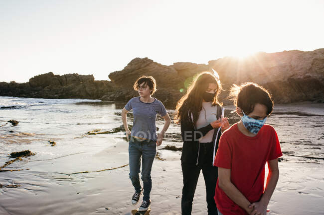 Три Сибірки Прогулянка на пляжі під час заходу сонця в масках для обличчя — стокове фото