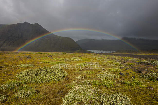 Arc-en-ciel sur prairie dans le sud de l'Islande — Photo de stock