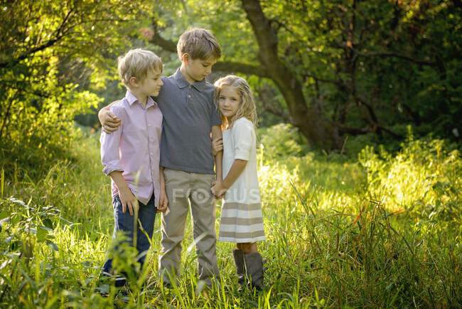 Trois enfants blonds affectueux debout ensemble dans un pré doré — Photo de stock