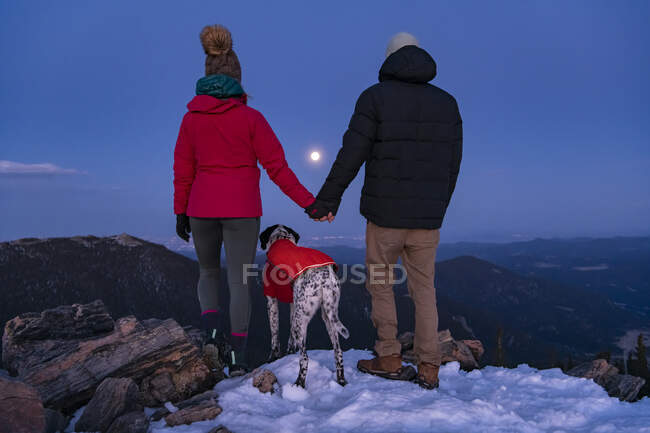 Visão traseira do casal de mãos dadas em pé com o cão no pico da montanha durante o inverno ao anoitecer — Fotografia de Stock