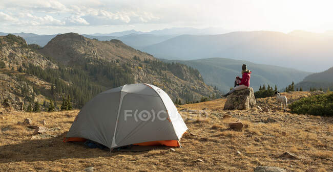 Donna campeggio con cane sulla montagna contro il cielo durante le vacanze — Foto stock