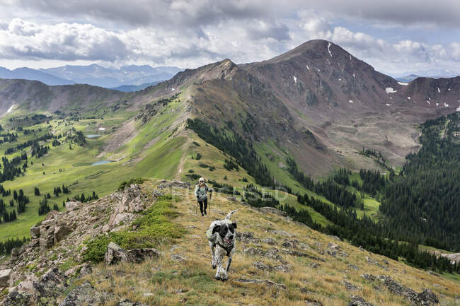 Female hiker hiking with dog on mountain against cloudy sky — Stock Photo