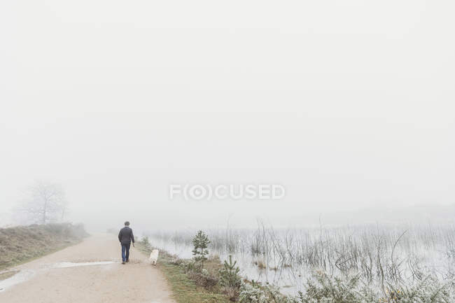 Vue arrière de l'homme avec chien marchant au bord du lac dans le brouillard — Photo de stock