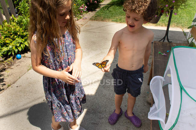 Vista de ángulo alto del niño sosteniendo una mariposa monarca mientras está de pie en su patio - foto de stock