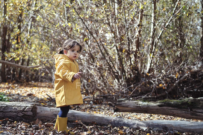 A 2 year old girl in a yellow raincoat in nature — Stock Photo