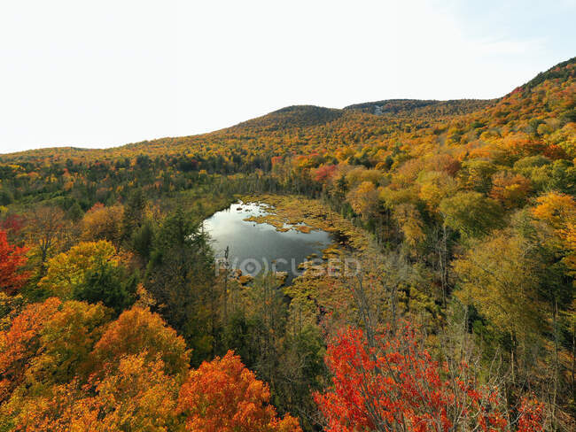Lago en colorido bosque de Adirondack de otoño desde arriba - foto de stock