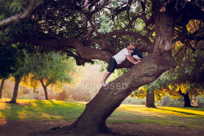 Padre besando hijo en la parte superior de un árbol. - foto de stock