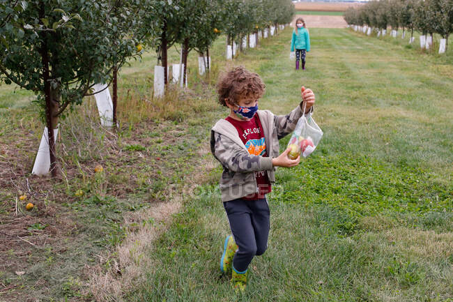 Irmãos pegando maçãs em um dia de outono em um pomar em Illinois — Fotografia de Stock