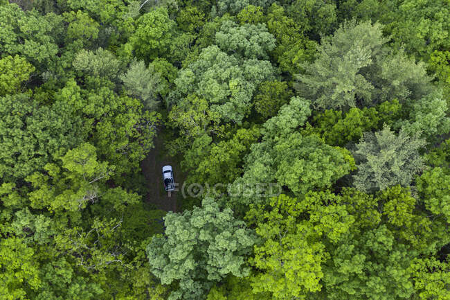 Воздушный вид на лес в горах — стоковое фото