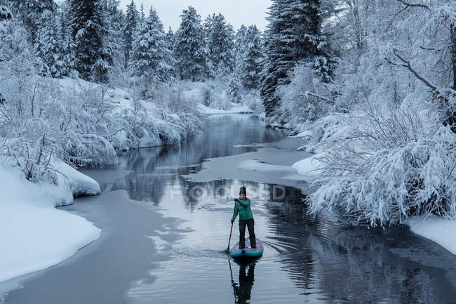 Mulher paddleboarding no rio em meio a árvores cobertas de neve durante as férias — Fotografia de Stock