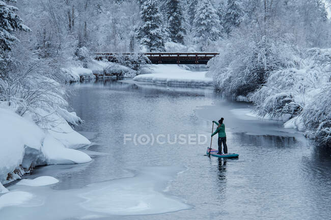 Vista trasera del paddleboarding de mujer en el río durante el invierno - foto de stock
