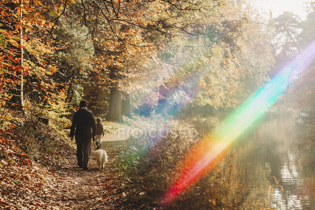 Людина, дитина і собака ходять по каналовій доріжці з веселковим полум'ям восени. — стокове фото