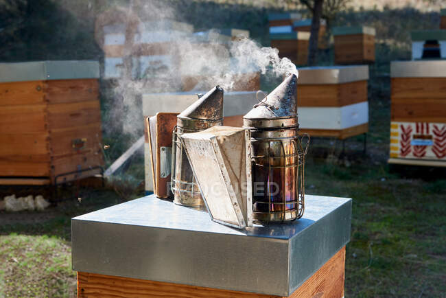 Пчеловодческий увлажнитель дыма, для того, чтобы пчелы вернулись к вашей расческе — стоковое фото