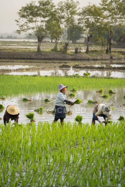 República da União de Mianmar cena de vida — Fotografia de Stock