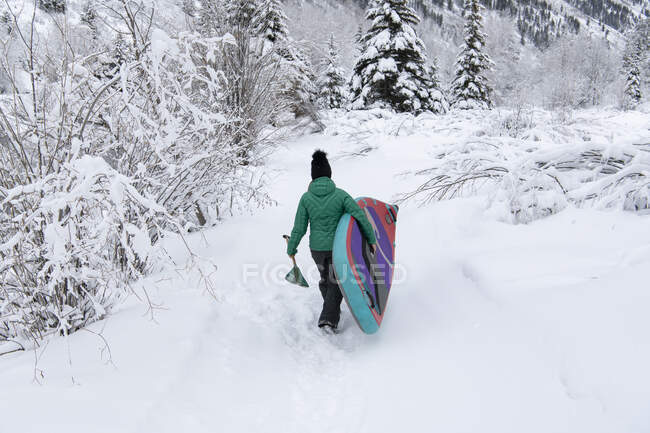 Задний вид женщины, несущей доску во время прогулки по снежному полю — стоковое фото