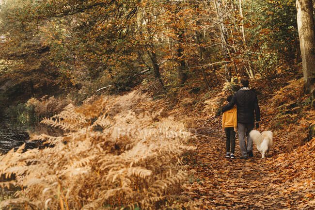 Vista trasera del padre abrazando al hijo y al perro caminando por el camino de sirga en otoño - foto de stock
