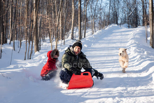 Padre e figlio slittino giù collina innevata con il loro cane il giorno d'inverno. — Foto stock