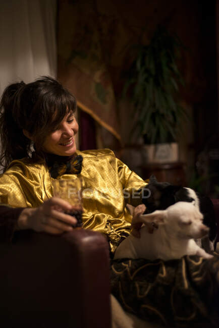 Жінка сміється над маленькими собаками на колінах з напоєм в руці вдома розслабляючись — стокове фото