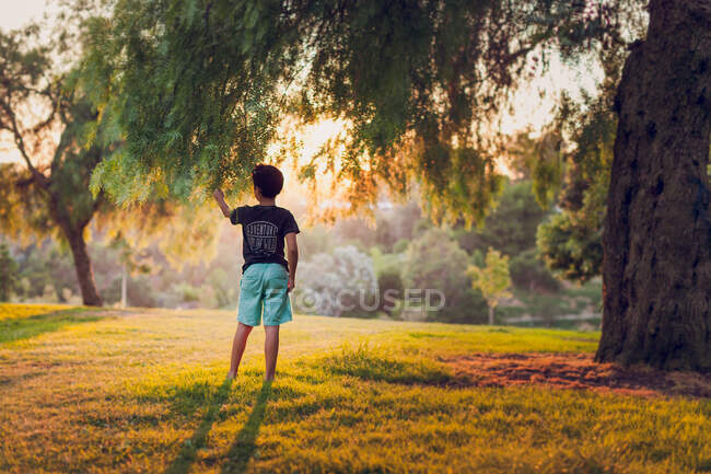 Kleiner Junge, der am Baum steht — Stockfoto