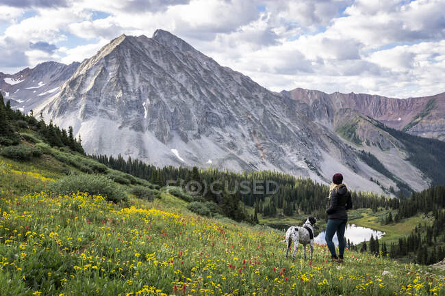 Senderista con perro mirando a la vista desde la montaña contra el cielo nublado - foto de stock