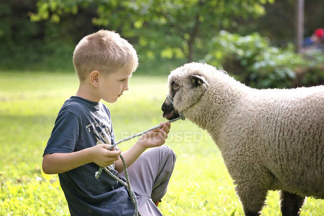 Carino piccolo biondo ragazzo con un agnello all'aperto. — Foto stock